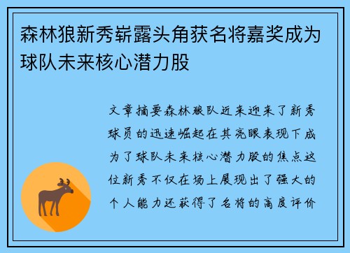 森林狼新秀崭露头角获名将嘉奖成为球队未来核心潜力股