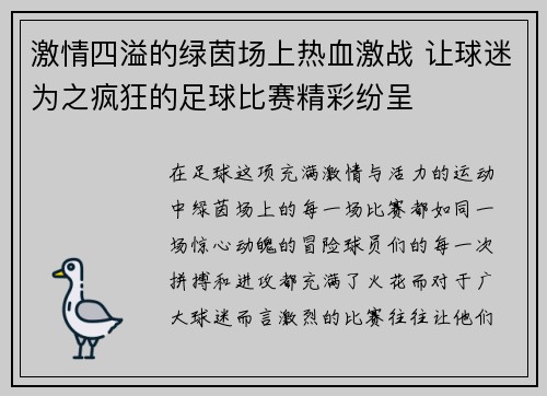 激情四溢的绿茵场上热血激战 让球迷为之疯狂的足球比赛精彩纷呈