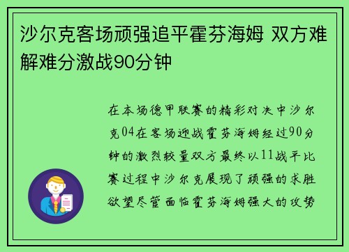 沙尔克客场顽强追平霍芬海姆 双方难解难分激战90分钟