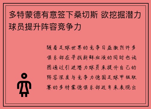 多特蒙德有意签下桑切斯 欲挖掘潜力球员提升阵容竞争力